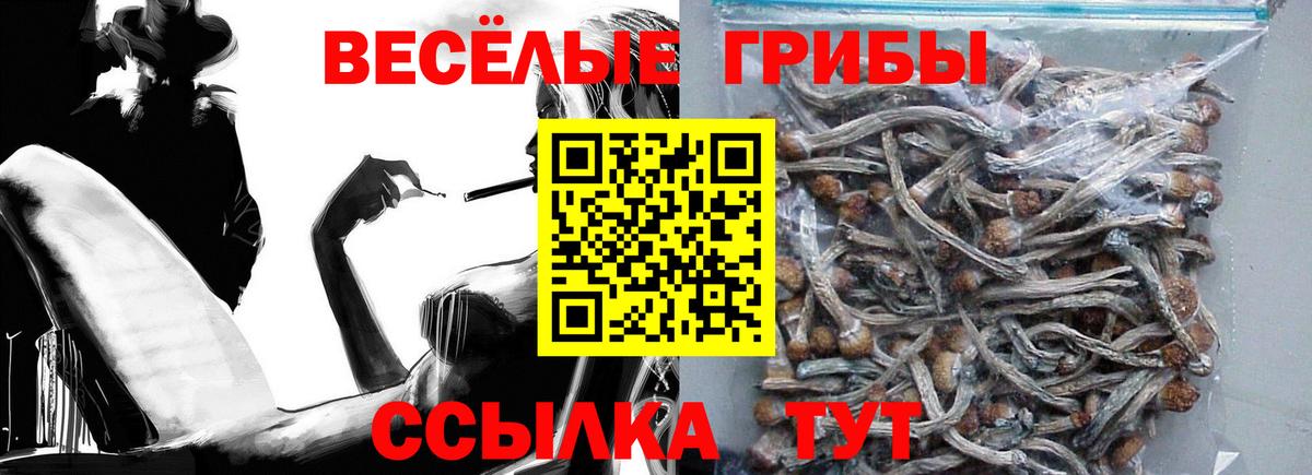 Псилоцибиновые грибы GOLDEN TEACHER  Псилоцибиновые грибы GOLDEN TEACHER  Вход с VPN  Ковров 
